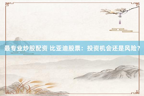 最专业炒股配资 比亚迪股票：投资机会还是风险？