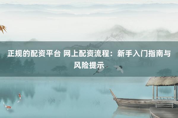 正规的配资平台 网上配资流程：新手入门指南与风险提示