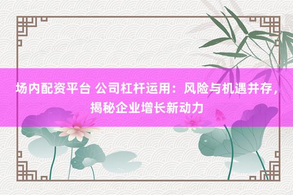 场内配资平台 公司杠杆运用：风险与机遇并存，揭秘企业增长新动力