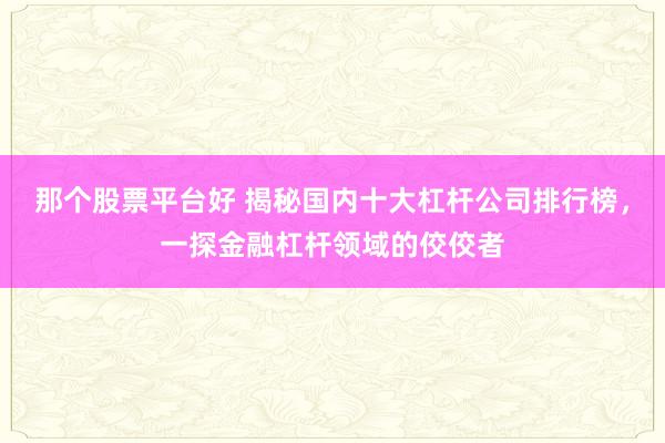 那个股票平台好 揭秘国内十大杠杆公司排行榜，一探金融杠杆领域的佼佼者