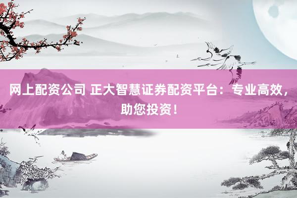 网上配资公司 正大智慧证券配资平台：专业高效，助您投资！