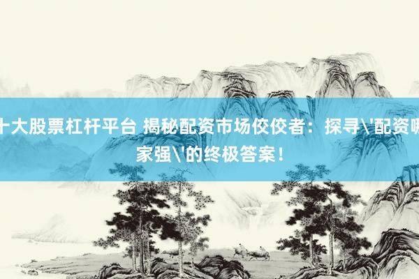 十大股票杠杆平台 揭秘配资市场佼佼者：探寻'配资哪家强'的终极答案！