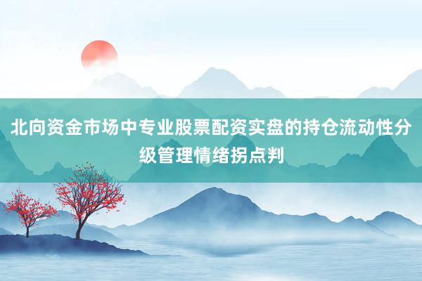 北向资金市场中专业股票配资实盘的持仓流动性分级管理情绪拐点判