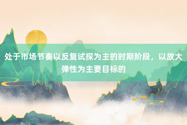 处于市场节奏以反复试探为主的时期阶段,以放大弹性为主要目标的