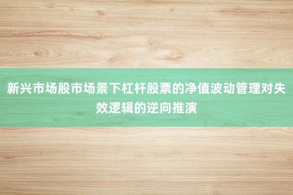 新兴市场股市场景下杠杆股票的净值波动管理对失效逻辑的逆向推演
