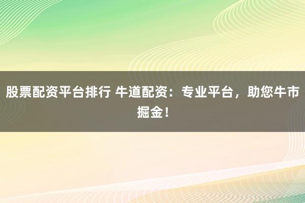 股票配资平台排行 牛道配资：专业平台，助您牛市掘金！