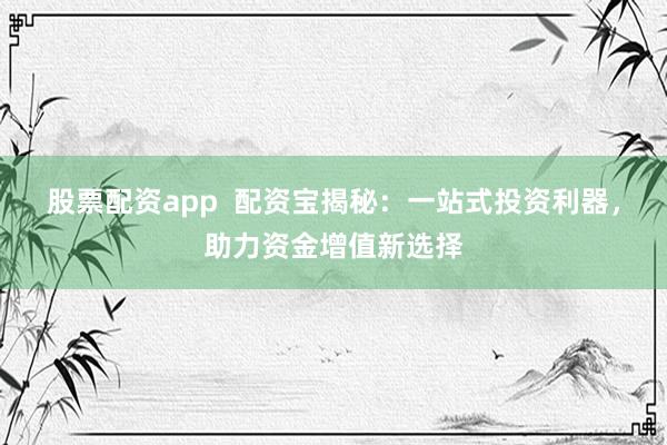 股票配资app  配资宝揭秘：一站式投资利器，助力资金增值新选择